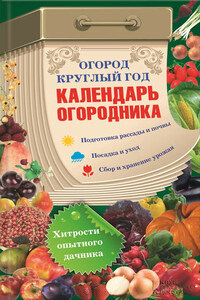 Огород круглый год: календарь огородника