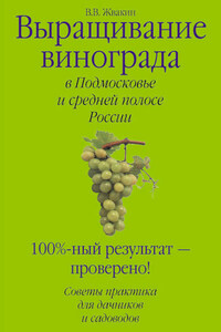 Выращивание винограда в Подмосковье и средней полосе России