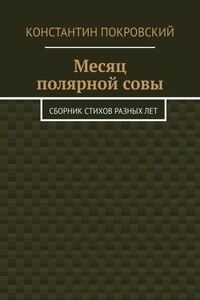 Месяц полярной совы. Сборник стихов разных лет