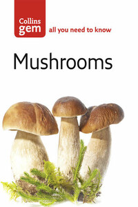 Mushrooms