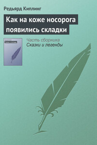 Как на коже носорога появились складки