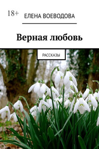 Верная любовь. Рассказы