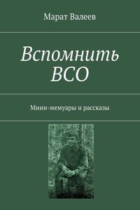 Вспомнить ВСО. Мини-мемуары и рассказы