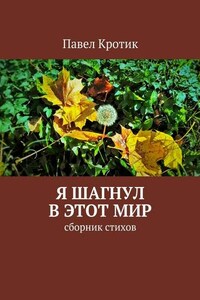 Я шагнул в этот мир. Сборник стихов