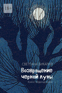 Возвращение черной луны. Книга 1. Водопад любви