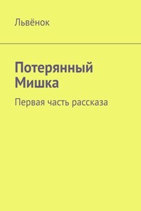 Потерянный Мишка. Первая часть рассказа