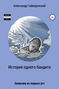 История одного бандита