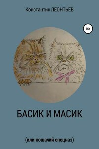 Басик и Масик (или кошачий спецназ)