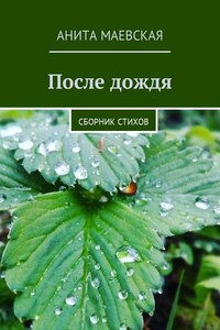 После дождя. Сборник стихов