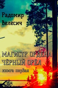 Магистр ордена Черный орел. Книга первая