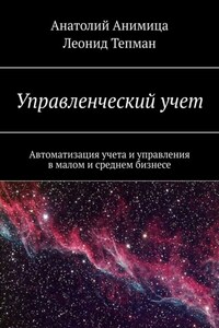 Управленческий учет. Автоматизация учета и управления в малом и среднем бизнесе