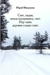 Снег, падая, земли коснувшись, тает. Иду один, деревня сладко спит