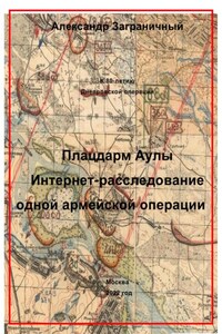 Плацдарм Аулы. Интернет-расследование одной армейской операции