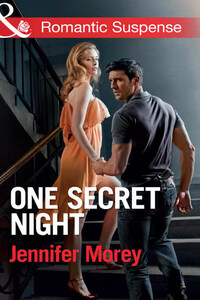 One Secret Night