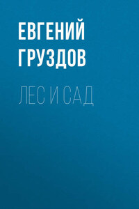 Лес и Сад