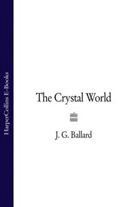 The Crystal World