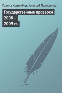 Государственные проверки 2008 – 2009 гг.