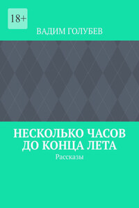 Несколько часов до конца лета. Рассказы