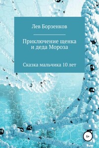 Приключение щенка и Деда Мороза. Сказка мальчика 10 лет