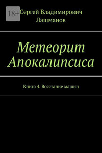 Метеорит Апокалипсиса. Книга 4. Восстание машин