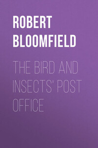 The Bird and Insects' Post Office