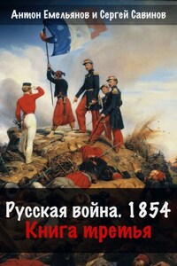Русская война. 1854. Книга 3