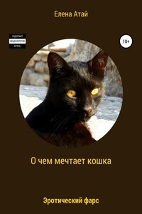 О чем мечтает кошка. Эротический фарс