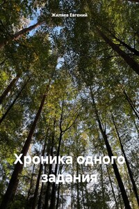 Хроника одного задания