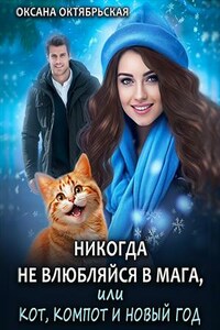 Никогда не влюбляйся в мага, или Кот, компот и Новый год