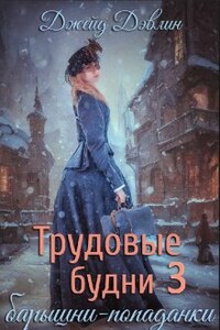 Трудовые будни барышни-попаданки 3