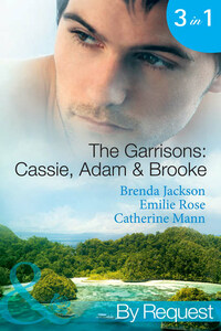 The Garrisons: Cassie, Adam & Brooke: Stranded with the Tempting Stranger