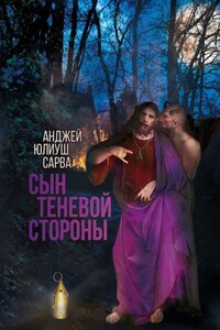 Сын теневой стороны