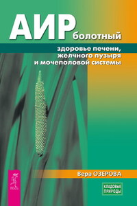 Аир болотный – здоровье печени, желчного пузыря и мочеполовой системы