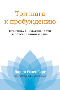 Три шага к пробуждению. Практика внимательности в повседневной жизни