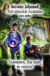 Под крылом Гамаюна. Книга первая. Гамаюнов, Вас тут не стояло!