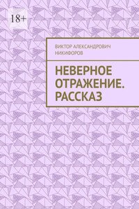 Неверное отражение. Рассказ