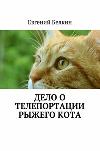 Дело о телепортации рыжего кота