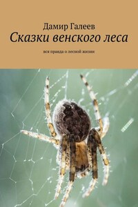 Сказки венского леса. Вся правда о лесной жизни