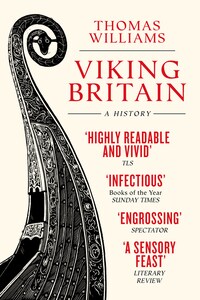 Viking Britain: A History