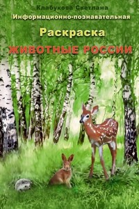 Информационно-познавательная раскраска «Животные России»