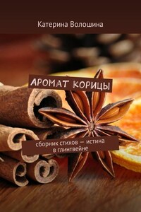 Аромат корицы. Сборник стихов – истина в глинтвейне