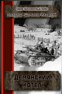 Демянский «котёл». Серия «Бессмертный полк»