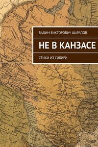 Не в Канзасе. Стихи из Сибири