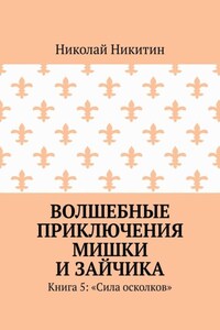 Волшебные приключения Мишки и Зайчика. Книга 5: «Сила осколков»