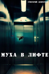 Муха в лифте