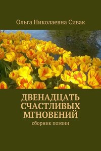 Двенадцать счастливых мгновений. Сборник поэзии