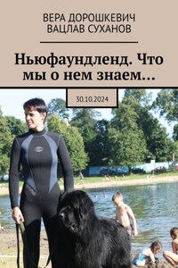 Ньюфаундленд. Что мы о нем знаем… 30.10.2024