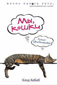 Мы, кошки