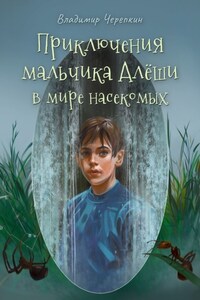 Приключения мальчика Алёши в мире насекомых