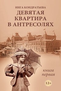 Девятая квартира в антресолях